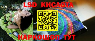 PSILOCYBIN Тверь