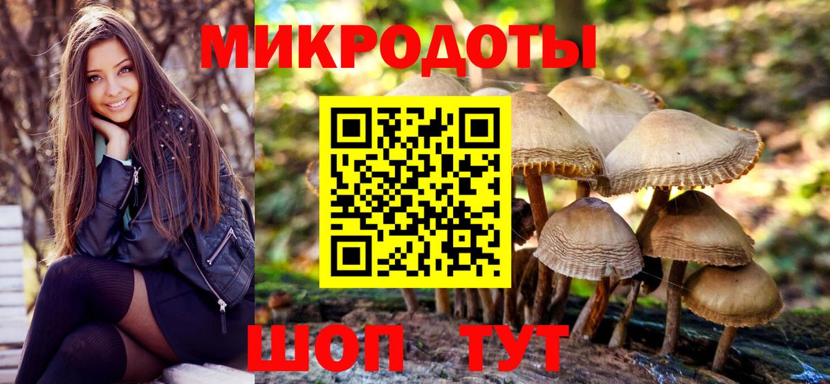 Псилоцибиновые грибы Cubensis  Вход с VPN  Ногинск 